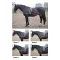 SHIRES LUNGING AID